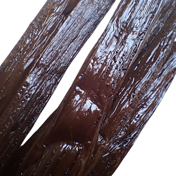 Vanille de Madagascar Premium