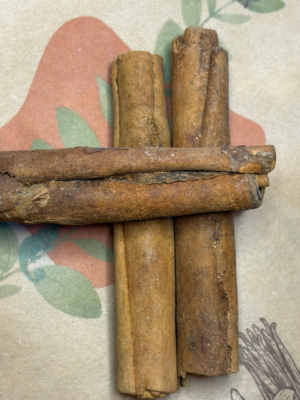 1 bâton de cannelle de Madagascar