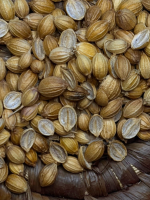 7 graines de coriandre