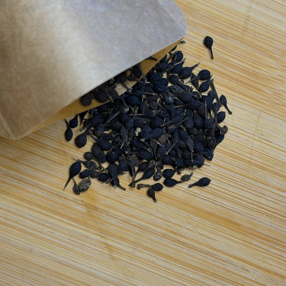 Poivre sauvage de Madagascar